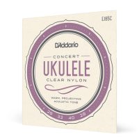 D'Addario Concert Ukulele Set