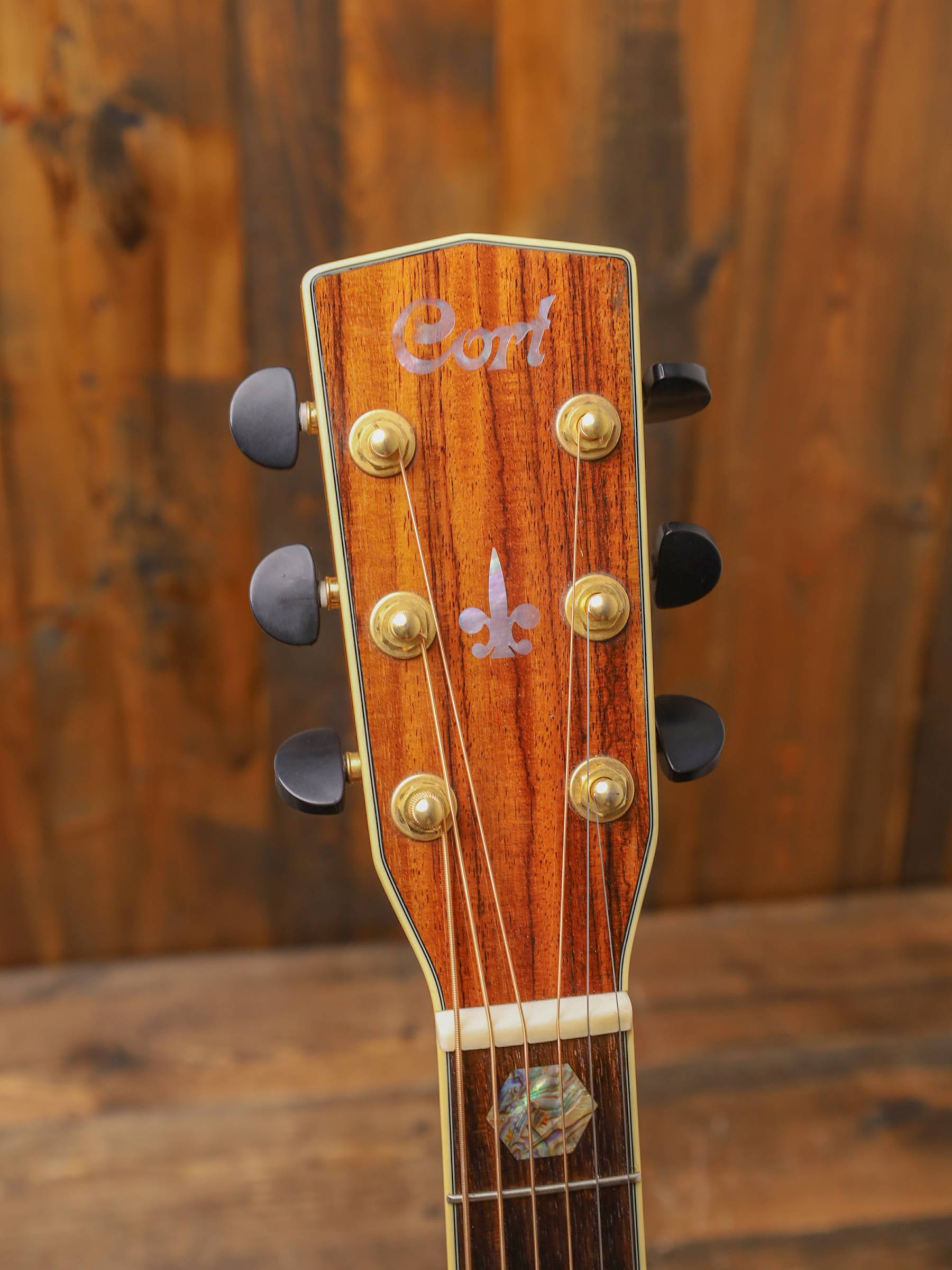 Cort CJ10x (Used) - Image 4