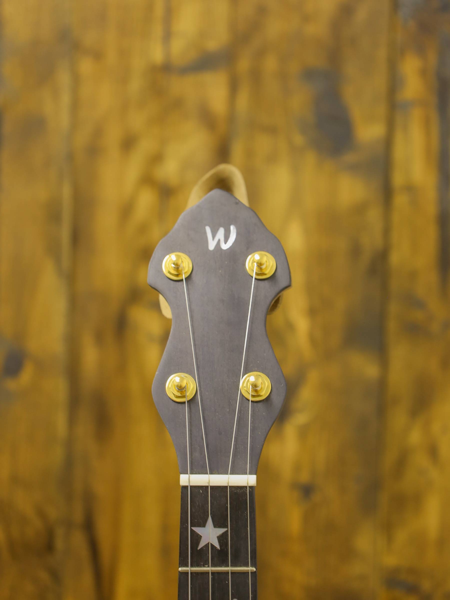 Wickland Fiddleback Maple Banjo - Image 4