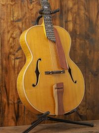 Nezil Acoustic Archtop #25