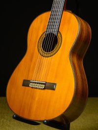 Yamaha G-2455II