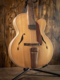 Nezil Seven-String Archtop
