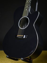 Rainsong A-WS 1000 Carbon Fiber